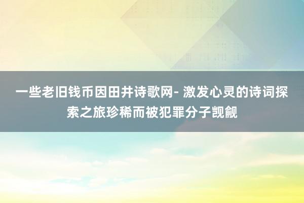 一些老旧钱币因田井诗歌网- 激发心灵的诗词探索之旅珍稀而被犯罪分子觊觎